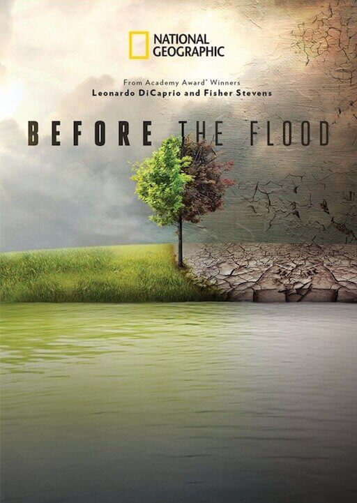 Before the Flood